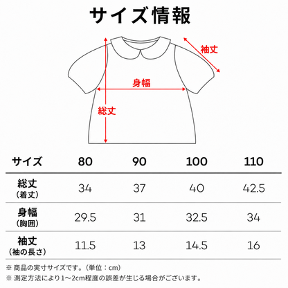 ケイン 半袖ブラウス　KANE Short Sleeve Blouse (White)